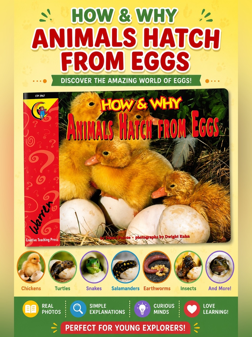 How and Why Animals Hatch From Eggs by Elaine Pascoe, Illustrated by Dwight Kuhn